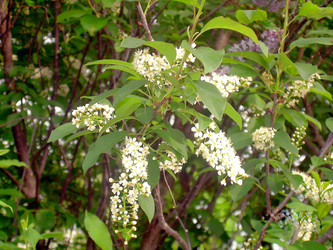 Similar image 21793716