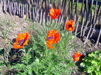 Similar image 21793718