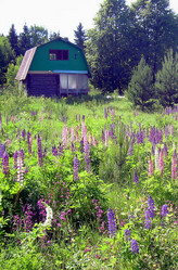 Similar image 21793721