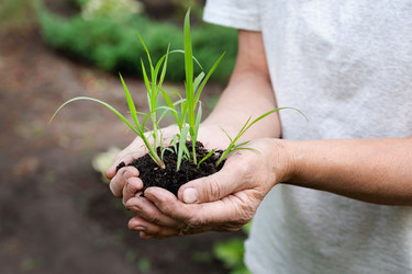 Similar image 21794012