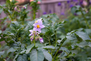 Similar image 21794014