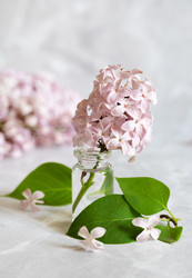 Similar image 21794016