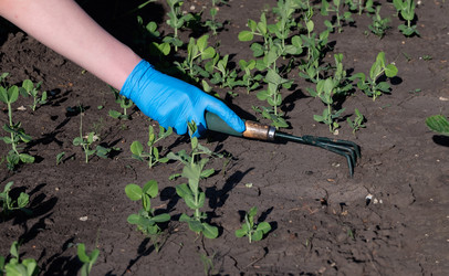 Similar image 21794018