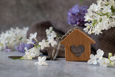 Similar image 21794019