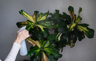 Similar image 21794023