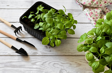 Similar image 21794025