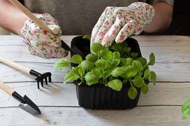 Similar image 21794027