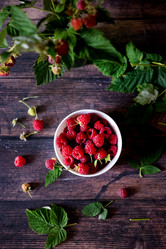 Similar image 21794033