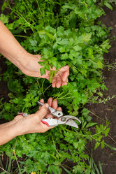 Similar image 21794059