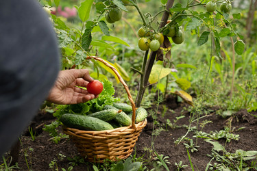 Similar image 21794060