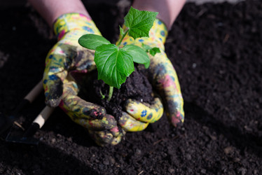 Similar image 21794065