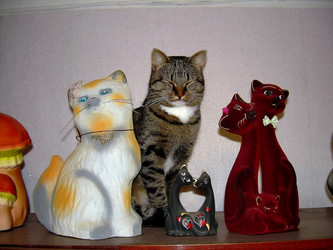 Similar image 21793752