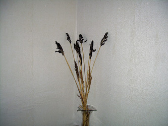 Similar image 21793754