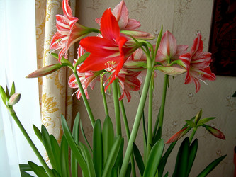 Similar image 21793757