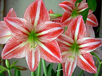 Similar image 21793758