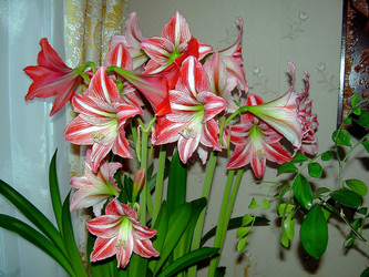 Similar image 21793759