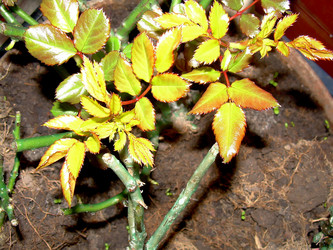 Similar image 21793760