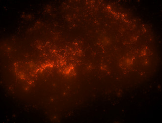 Similar image 21804006