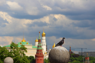 Similar image 21793478