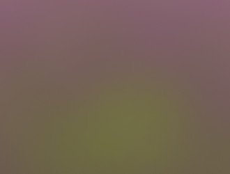 Similar image 21804017