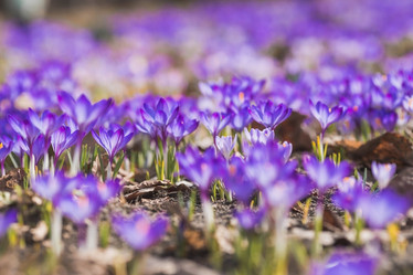 Similar image 21806299