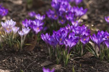 Similar image 21806300