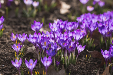 Similar image 21806550