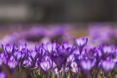 Similar image 21806552