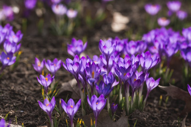 Similar image 21806553