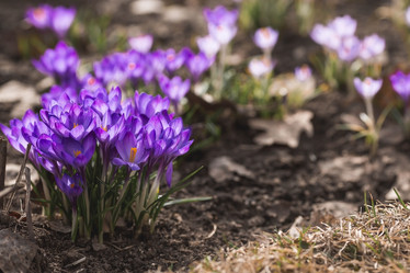 Similar image 21806554