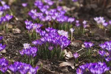 Similar image 21806555