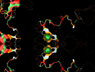 Similar image 21804042