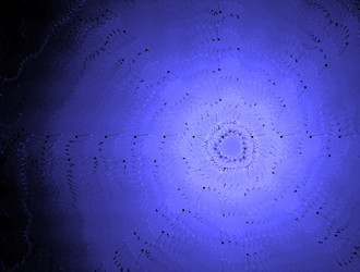 Similar image 21795335