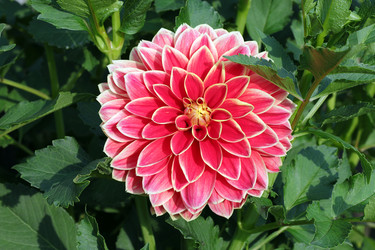 Similar image 21793483