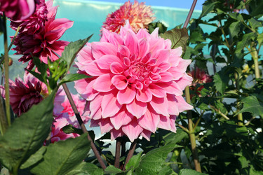 Similar image 21793487