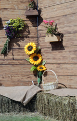 Similar image 21793488