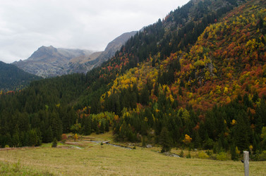 Similar image 21803477