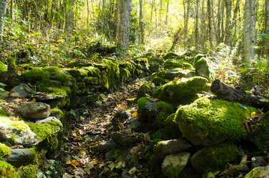 Similar image 21803486