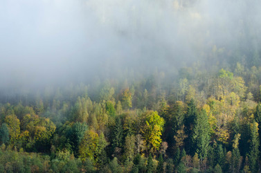 Similar image 21803487