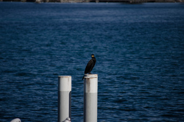 Similar image 21803489