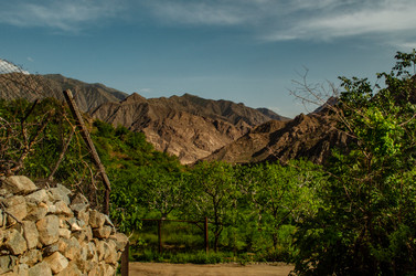 Similar image 21803498