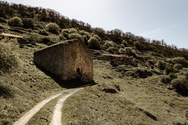 Similar image 21803502