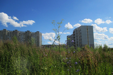 Similar image 21793493