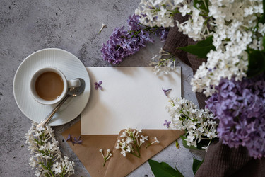 Similar image 21807145