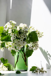 Similar image 21807147