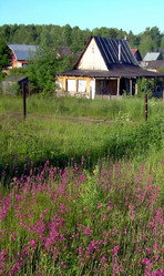 Similar image 21793779