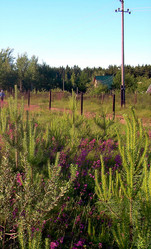 Similar image 21793781