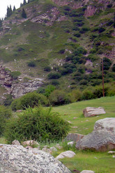 Similar image 21793790