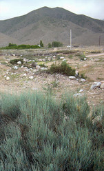 Similar image 21793793