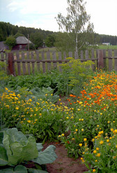 Similar image 21793799